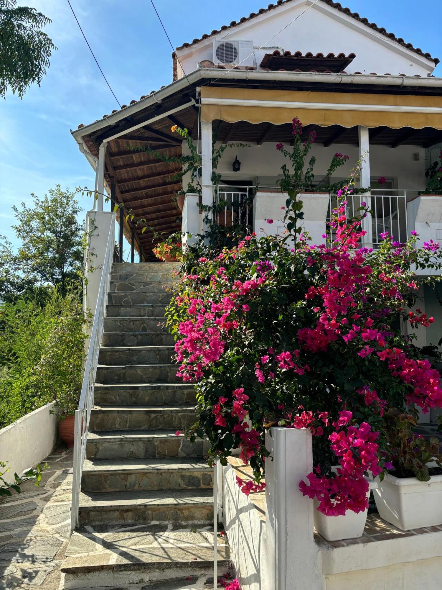 Marias Apartments Vasiliká 외부 사진